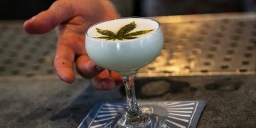 CBD Drink
