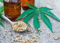 CBD in Weight Loss