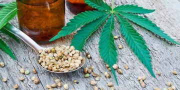 CBD in Weight Loss