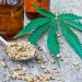 CBD in Weight Loss