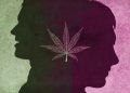 CBD and Bipolar disorder