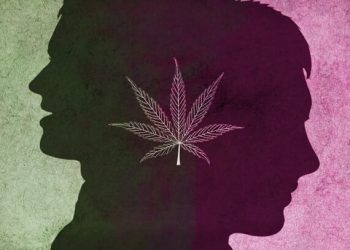 CBD and Bipolar disorder