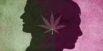 CBD and Bipolar disorder