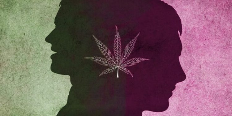 CBD and Bipolar disorder