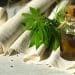 CBD and Hemp oil