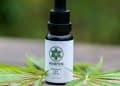 benefits of hemp oil