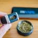Vaping Marijuana or Smoking