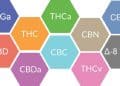 CBD