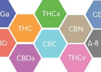 CBD