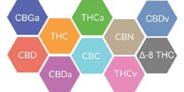CBD