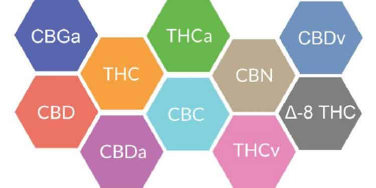 CBD