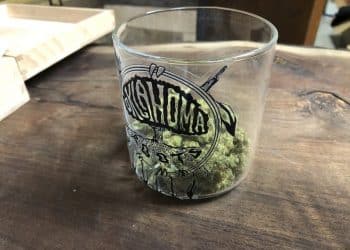 Testing Made Compulsory for Marijuana Dispensaries in Oklahoma
