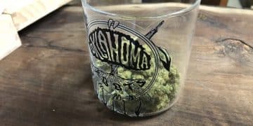 Testing Made Compulsory for Marijuana Dispensaries in Oklahoma