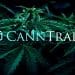 Hemp Market Launch of CannTrade