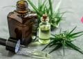 Know About the Benefits and Risks of Cannabis in Health Sector