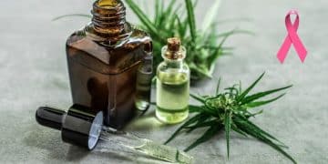 Know About the Benefits and Risks of Cannabis in Health Sector