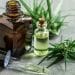 Know About the Benefits and Risks of Cannabis in Health Sector
