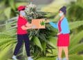 Cannabis Sale Due to COVID-19 Outbreak