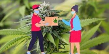Cannabis Sale Due to COVID-19 Outbreak