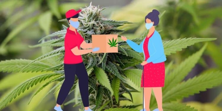 Cannabis Sale Due to COVID-19 Outbreak