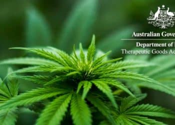 Medical Cannabis Approvals See a Surge in Australia