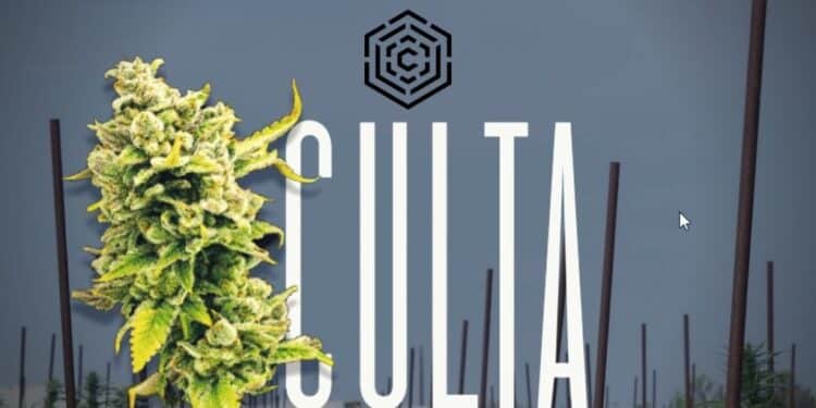 CULTA and New Age Nanotech Partner for Rapid Cannabis Onset