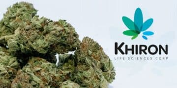 Khiron to Export High THC Medical Cannabis