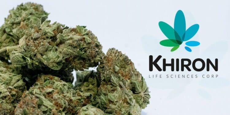 Khiron to Export High THC Medical Cannabis