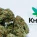 Khiron to Export High THC Medical Cannabis