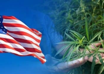Tilray Eyes U.S. Cannabis Market With Medmen Move