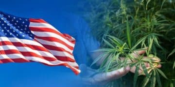 Tilray Eyes U.S. Cannabis Market With Medmen Move